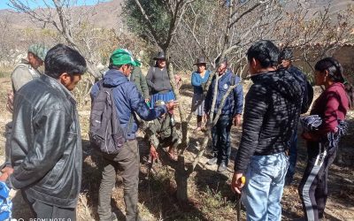 PROTECCIÓN Y CONSERVACIÓN DE LA BIODIVERDIDAD Y LOS ECOSISTEMAS