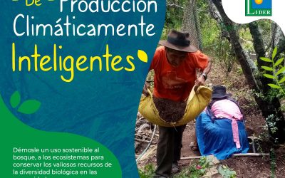 SISTEMAS DE PRODUCCIÓN CLIMÁTICAMENTE INTELIGENTES