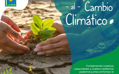 REDUCCIÓN DEL RIESGO DE DESASTRES Y ADAPTACIÓN AL CAMBIO CLIMÁTICO