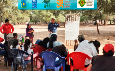 Capacitación en Apicultura y Equidad de Género: Un Proyecto de LÍDER y el Programa de Pequeñas Donaciones del PNUD