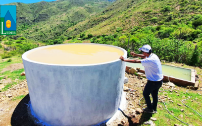 ¡𝑨𝒄𝒄𝒊𝒐𝒏𝒆𝒔 𝒑𝒂𝒓𝒂 𝒖𝒏 𝑭𝒖𝒕𝒖𝒓𝒐 𝑺𝒐𝒔𝒕𝒆𝒏𝒊𝒃𝒍𝒆 𝒆𝒏 𝑴𝒆𝒏𝒅𝒐𝒛𝒂!