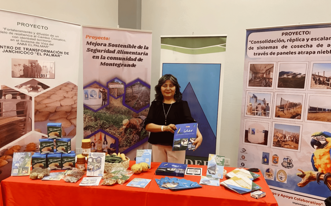 ¡𝐋𝐈𝐃𝐄𝐑 𝐩𝐫𝐞𝐬𝐞𝐧𝐭𝐞 𝐞𝐧 𝐥𝐚 𝐀𝐬𝐚𝐦𝐛𝐥𝐞𝐚 𝐄𝐱𝐭𝐫𝐚𝐨𝐫𝐝𝐢𝐧𝐚𝐫𝐢𝐚 𝐝𝐞 𝐥𝐚 𝐑𝐞𝐝 𝐀𝐈𝐏𝐄 𝟐𝟎𝟐𝟒! 𝐏𝐫𝐞𝐬𝐞𝐧𝐭𝐚𝐧𝐝𝐨 𝐈𝐧𝐧𝐨𝐯𝐚𝐜𝐢𝐨𝐧𝐞𝐬 𝐲 𝐄𝐬𝐭𝐫𝐚𝐭𝐞𝐠𝐢𝐚𝐬 𝐩𝐚𝐫𝐚 𝐞𝐥 𝐅𝐮𝐭𝐮𝐫𝐨 𝐝𝐞𝐥 𝐃𝐞𝐬𝐚𝐫𝐫𝐨𝐥𝐥𝐨 𝐑𝐮𝐫𝐚𝐥 𝐲 𝐀𝐠𝐫𝐨𝐞𝐜𝐨𝐥ó𝐠𝐢𝐜𝐨