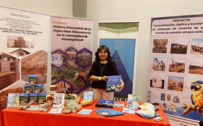 ¡𝐋𝐈𝐃𝐄𝐑 𝐩𝐫𝐞𝐬𝐞𝐧𝐭𝐞 𝐞𝐧 𝐥𝐚 𝐀𝐬𝐚𝐦𝐛𝐥𝐞𝐚 𝐄𝐱𝐭𝐫𝐚𝐨𝐫𝐝𝐢𝐧𝐚𝐫𝐢𝐚 𝐝𝐞 𝐥𝐚 𝐑𝐞𝐝 𝐀𝐈𝐏𝐄 𝟐𝟎𝟐𝟒! 𝐏𝐫𝐞𝐬𝐞𝐧𝐭𝐚𝐧𝐝𝐨 𝐈𝐧𝐧𝐨𝐯𝐚𝐜𝐢𝐨𝐧𝐞𝐬 𝐲 𝐄𝐬𝐭𝐫𝐚𝐭𝐞𝐠𝐢𝐚𝐬 𝐩𝐚𝐫𝐚 𝐞𝐥 𝐅𝐮𝐭𝐮𝐫𝐨 𝐝𝐞𝐥 𝐃𝐞𝐬𝐚𝐫𝐫𝐨𝐥𝐥𝐨 𝐑𝐮𝐫𝐚𝐥 𝐲 𝐀𝐠𝐫𝐨𝐞𝐜𝐨𝐥ó𝐠𝐢𝐜𝐨