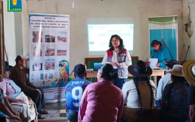 𝐅𝐨𝐫𝐭𝐚𝐥𝐞𝐜𝐢𝐞𝐧𝐝𝐨 𝐂𝐨𝐦𝐮𝐧𝐢𝐝𝐚𝐝𝐞𝐬: 𝐂𝐚𝐩𝐚𝐜𝐢𝐭𝐚𝐜𝐢ó𝐧 𝐞𝐧 𝐌𝐚𝐧𝐭𝐞𝐧𝐢𝐦𝐢𝐞𝐧𝐭𝐨 𝐝𝐞 𝐏𝐚𝐧𝐞𝐥𝐞𝐬 𝐀𝐭𝐫𝐚𝐩𝐚 𝐧𝐢𝐞𝐛𝐥𝐚𝐬 𝐞𝐧 𝐕𝐢𝐥𝐥𝐚 𝐒𝐞𝐫𝐫𝐚𝐧𝐨 𝐲 𝐏𝐚𝐝𝐢𝐥𝐥𝐚